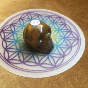 Tijgeroog Skull MINI 4 - afkomstig van het sterrenstelsel Andromeda = 3 x 2.5 x 2.5 cm