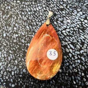 Versteend Hout Hanger nr 7 - cabochon geslepen