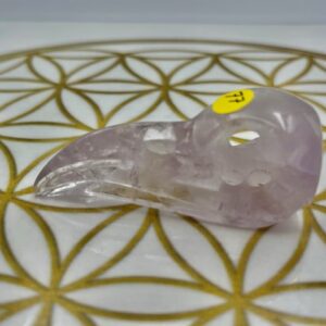 Bergkristal Raven schedel 3: 9.5x3x3 cm (lxbrxh)- 51 gr