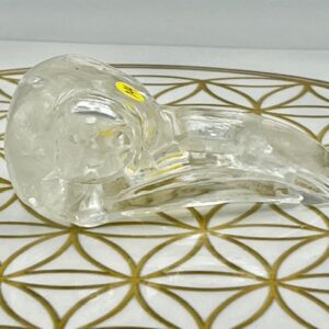 Bergkristal Raven schedel 1: 9x4x3.5 cm (lxbrxh) - 82 gr