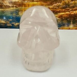 Bergkristal Skull 11: 6x3.7x5 cm (lxbrxh) - 132 gr - LeMUria Wortelras