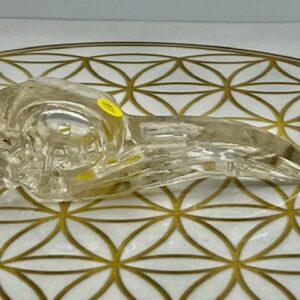Bergkristal Raven schedel 4: 10x3x3 cm (lxbrxh)- 49 gr