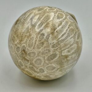 Koraal Bol 1 - Versteend: Ø 5 cm - 175 gram - Akasha Kronieken van LeMUria in de Binnenaarde