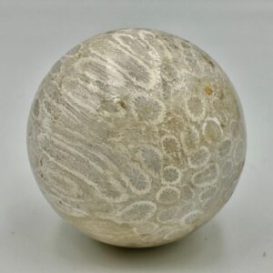 Koraal Bol 2 - Versteend: Ø 5 cm - 173 gram - Akasha Kronieken van LeMUria in de Binnenaarde