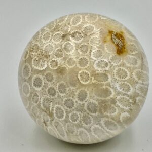 Koraal Bol 3 - Versteend: Ø 5 cm - 171 gram - Akasha Kronieken van LeMUria in de Binnenaarde