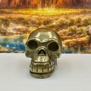 Pyriet Goudglans Skull 1: 5x3.5x3.5 cm - 150 gr - In contact met Uluru Stamoudsten