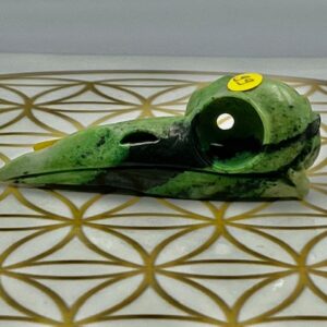 Grossulaar / Groene Granaat / Transvaal Jade Raven schedel nr 1: 7.5x2.5x2.5 cm (lxbrxh) - 31 gram