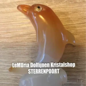 Dolfijnen & Eenhoorns