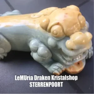 Draken & Raven Schedels