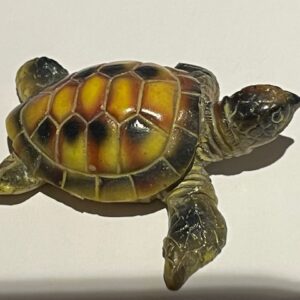 Hars Schildpad 2: 5.5x5x2 cm (lxbxh) - 19 gram = MAANCYCLUS SYMBOLIEK - (bijzonder mooi schild vol Codes)