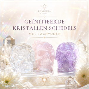 Kristallen Schedels (crystal skulls)