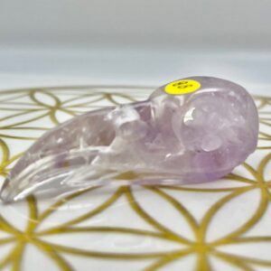 Amethist Ravenschedel 1: 6 x 2.1 x 2.1 cm (lxbrxh) - 20 gram