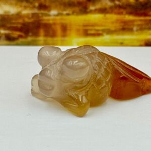 Miniatuur Vis - Carneool Agaat: 2.5x1.7x1.3 cm (lxbrxh)