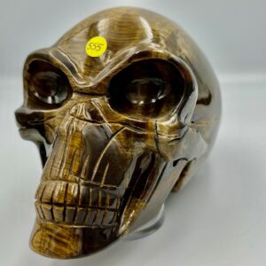Tijgeroog Alien Traveler Skull XL 2: 14x7x8 cm (lxbrxh) - 978 gram - Activeert Vreugde Cellen in het ouder wordende lichaam!