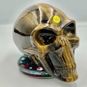 Tijgeroog Alien Traveler Skull XL 1: 13.5x5.5x7.5 cm (lxbrxh) - 705 gram - Activeert Vreugde Cellen in het ouder wordende lichaam!
