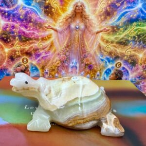 Aragoniet Maori Schildpad 2: 11x8x 4,5 cm (lxbrxh) - 347 gram: Levende Kristalcodes uit het Oude Volk