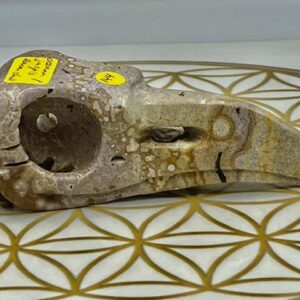 Oceaan Jaspis Ravenschedel 1: 9 x 4.5 x 3.5 cm (lxbrxh) - 85 gram - Verbinding met Oerwater van Moeder Aarde